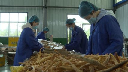 大荔县各工业企业克服疫情影响 产品生产安全平稳有序进行